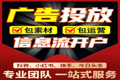 SEO策略在电商平台的成功应用案例
